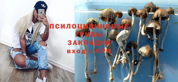твердый Алексин